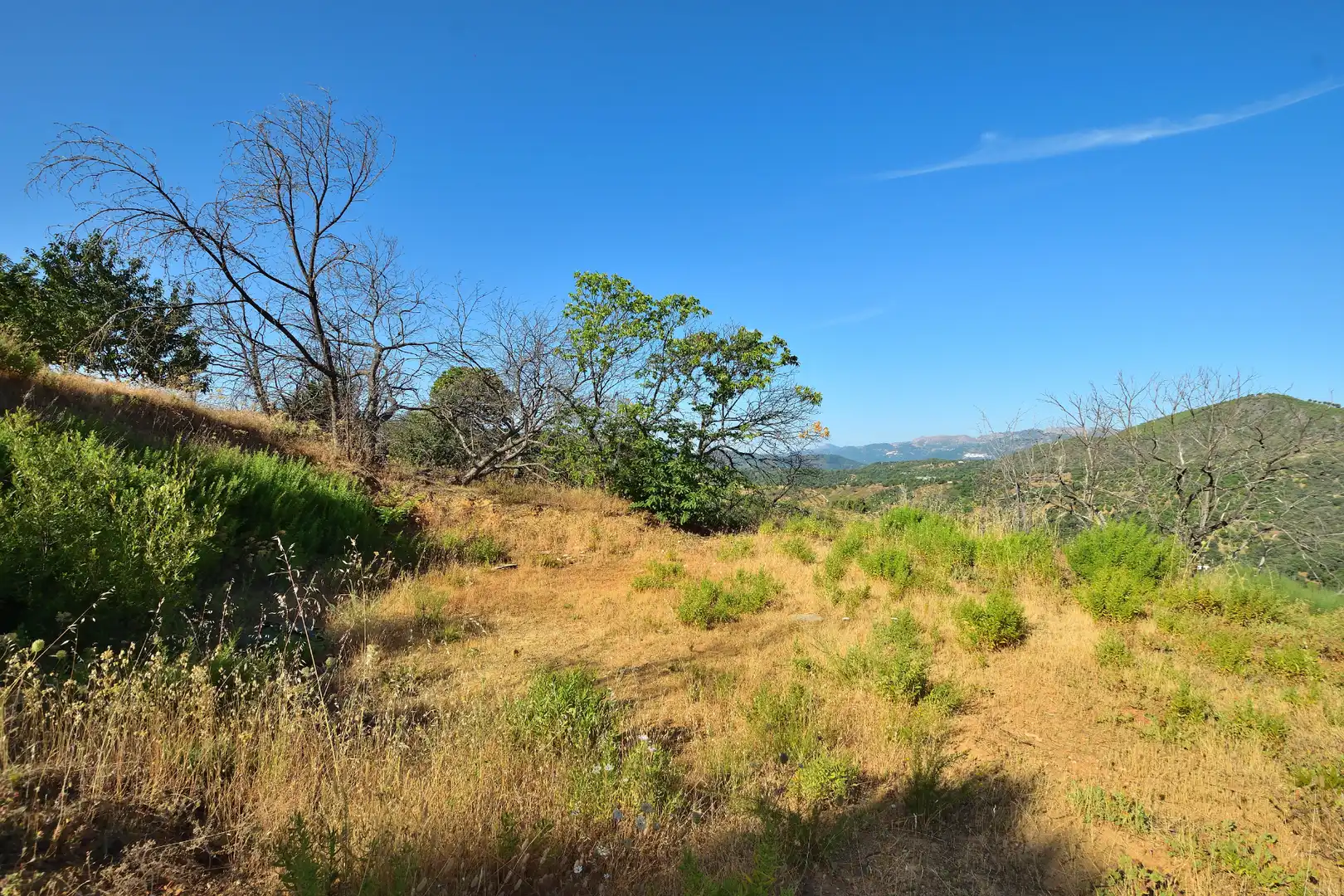 Terreno en venta en Calle Padre Francisco Rodríguez Gallego, 29, Cartajima