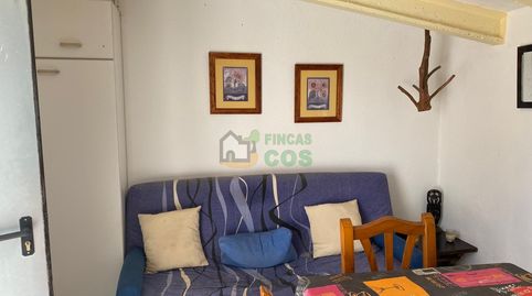 FINCA RUSTICA en venta con cabaña de campo y mucho terreno en un lugar tranquilo, sin contaminación y cerca del río Ebro., immagine 5