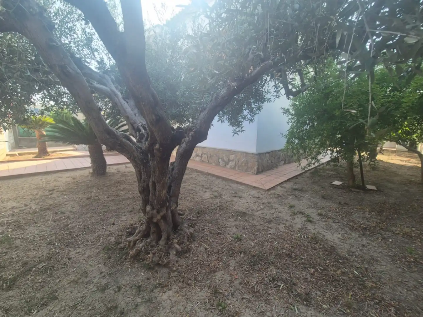 Detached house with garden for sale in Oliva pueblo, imagen 39
