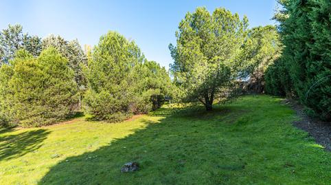 Foto 5 de Residencial en venda a Monte Rozas, Madrid