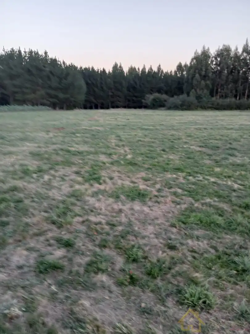Terreni e lotti in vendita a Parroquias del Este, imagen 5