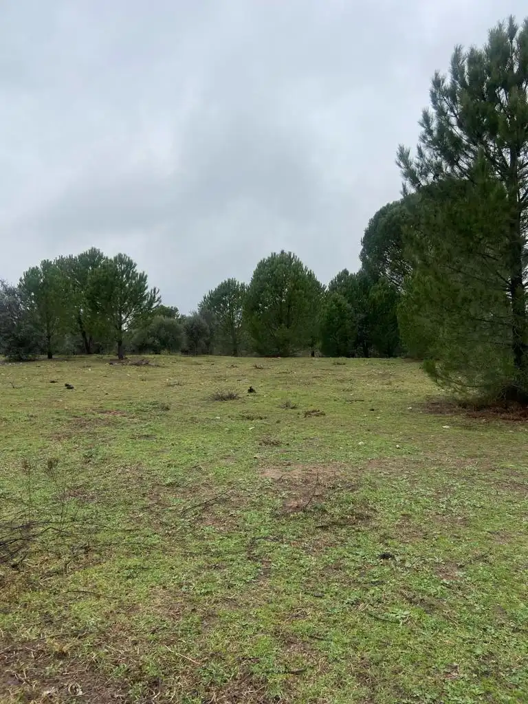Terreni e lotti in vendita a Sotillo de la Adrada, imagen 13