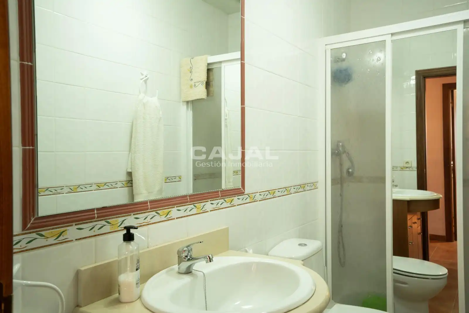 Bathroom of Detached homes for sale in Grajera  with Heating and Private garden