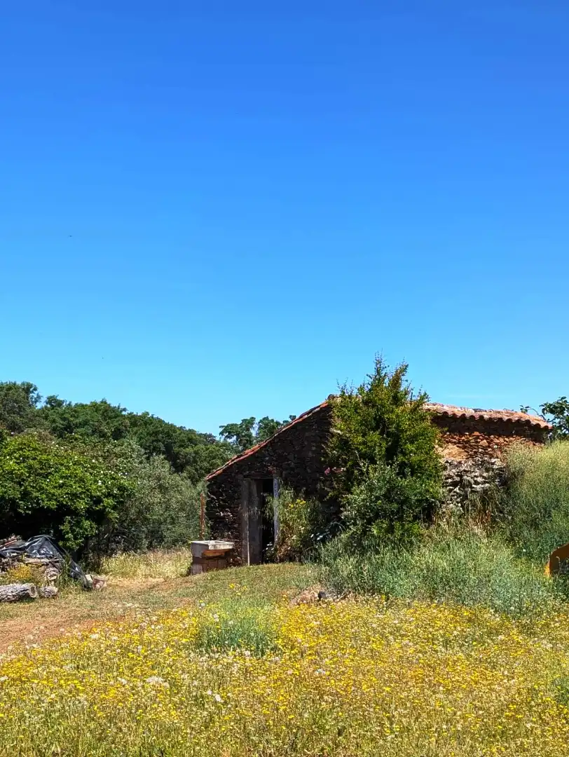 Jardín de Casa o chalet en venta en Puerto Moral con Jardín privado, Terraza y Trastero