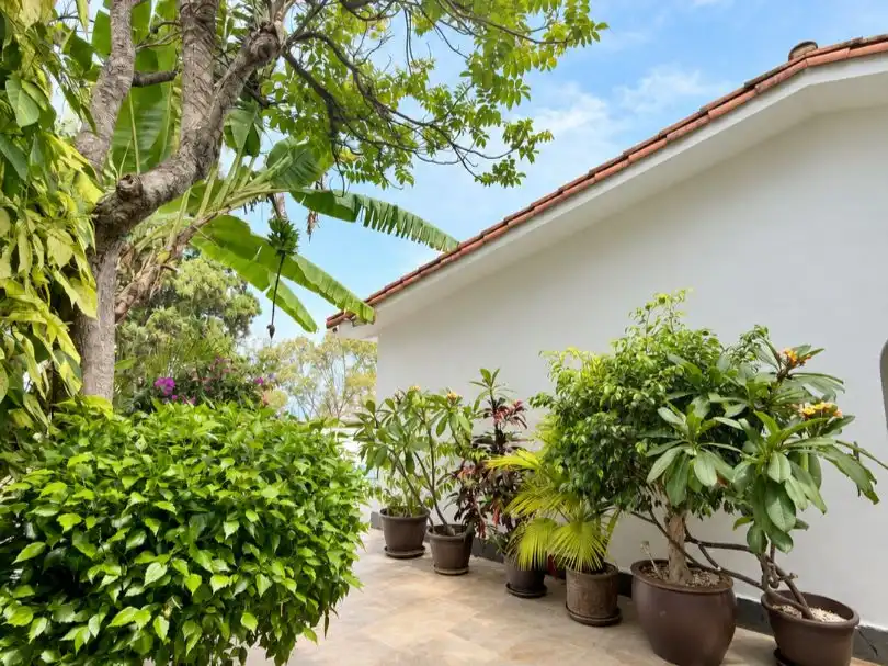Terrassa de Casa o xalet en venda en Puerto de la Cruz amb Terrassa i Piscina
