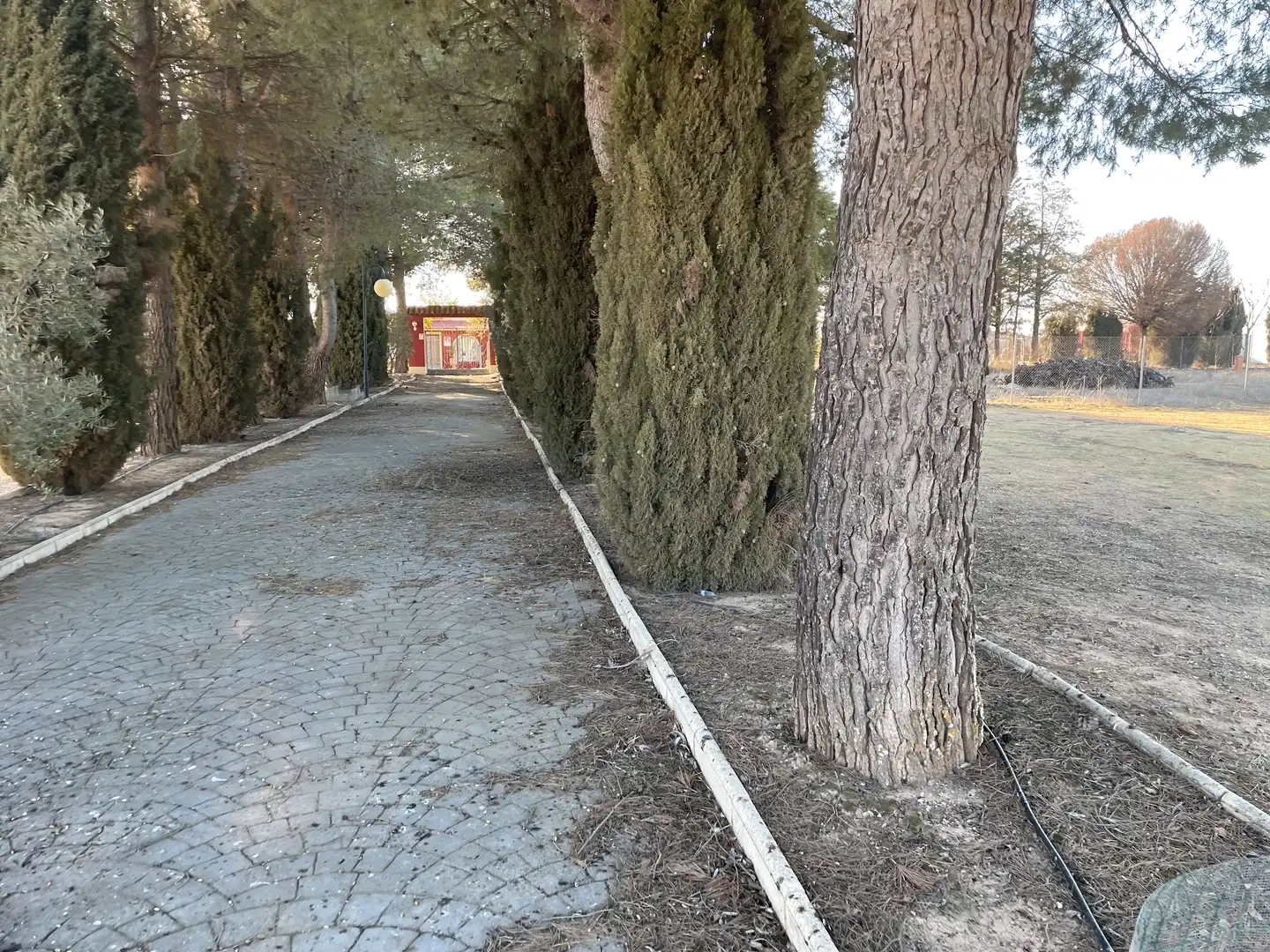 Chalet con piscina en venta en Tomelloso, imagen 7