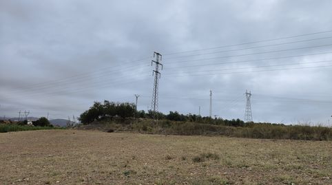 Tierra carretera los Villares, imatge 2