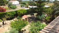 Jardí de Casa o xalet en venda en Elche / Elx