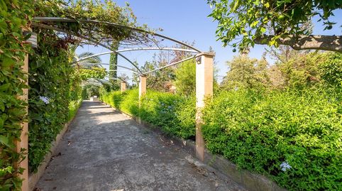 EXCLUSIVA FINCA RÚSTICA EN SECAR DE LA REAL VIVIENDA CON PISCINA Y NAVE AGRICOLA
