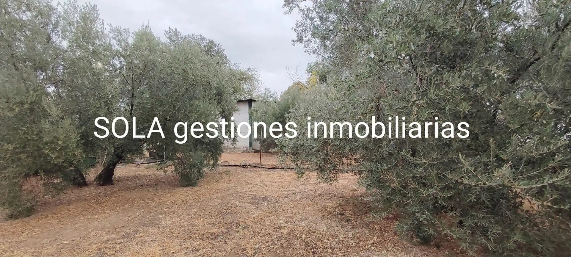 Terreni e lotti in vendita a Úbeda, imagen 10