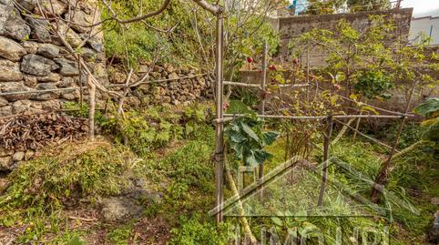 Foto 2 de Finca rústica en venda a Caserio de Belmonte, 57, Santa Bárbara - La Florida, Santa Cruz de Tenerife