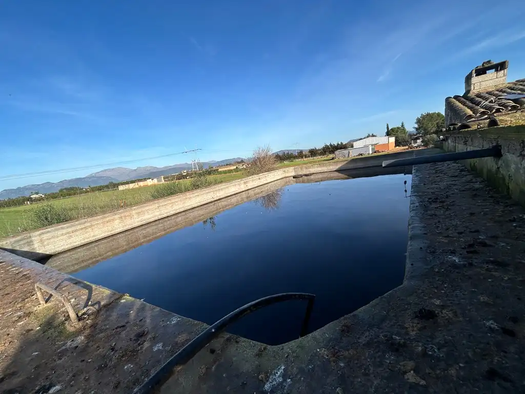 Swimming pool of Land for sale in Muro