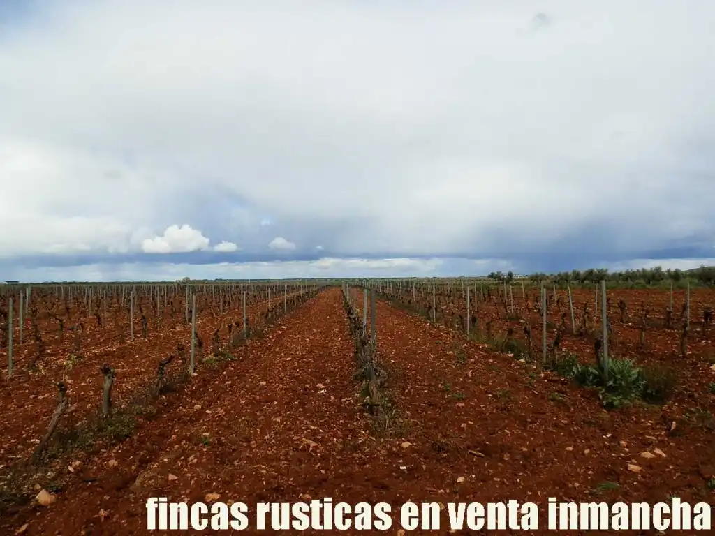 Terreno rustico in vendita a Pozuelo de Calatrava, imagen 16