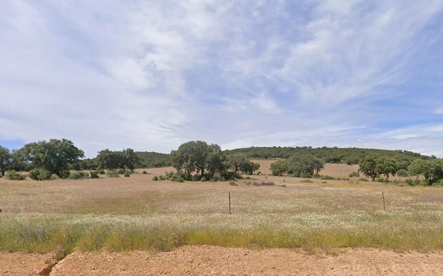 Terreny rústic en venda a Villanueva de la Serena, imagen 7