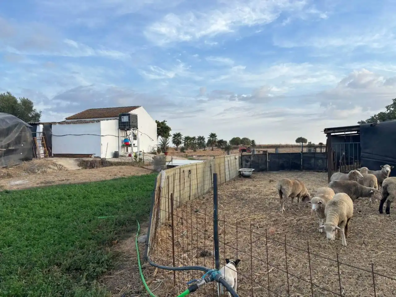 Rustikales Grundstück zum Verkauf in San Bartolomé de la Torre