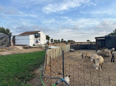 Rural land for sale in San Bartolomé de la Torre