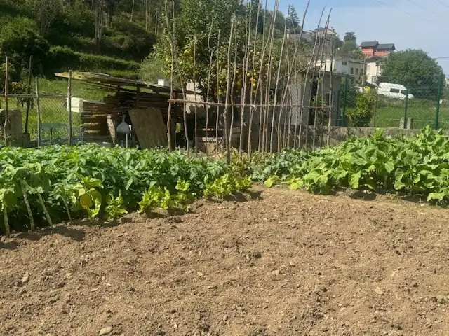 Casa a schiera con giardino in vendita a Glorieta Ferreira, imagen 69