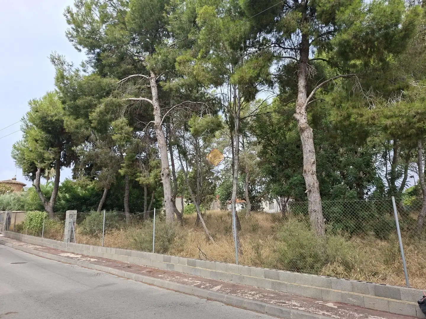 Terreno residenziale in vendita a La Conarda - Montesano, imagen 2
