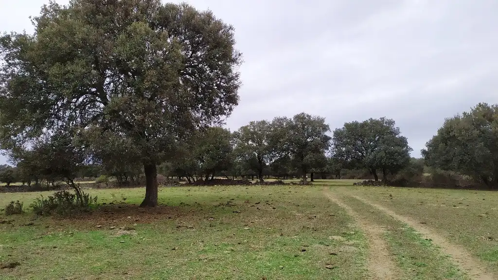 Terreni e lotti in vendita a Fresnedilla, imagen 10
