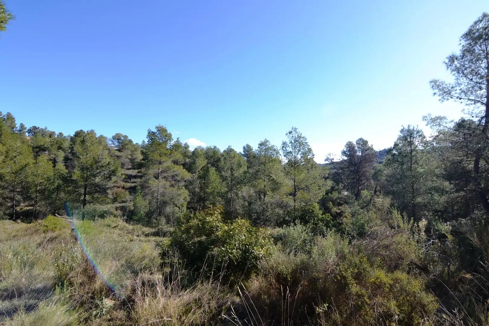 Rural land for sale in Ascó, imagen 12