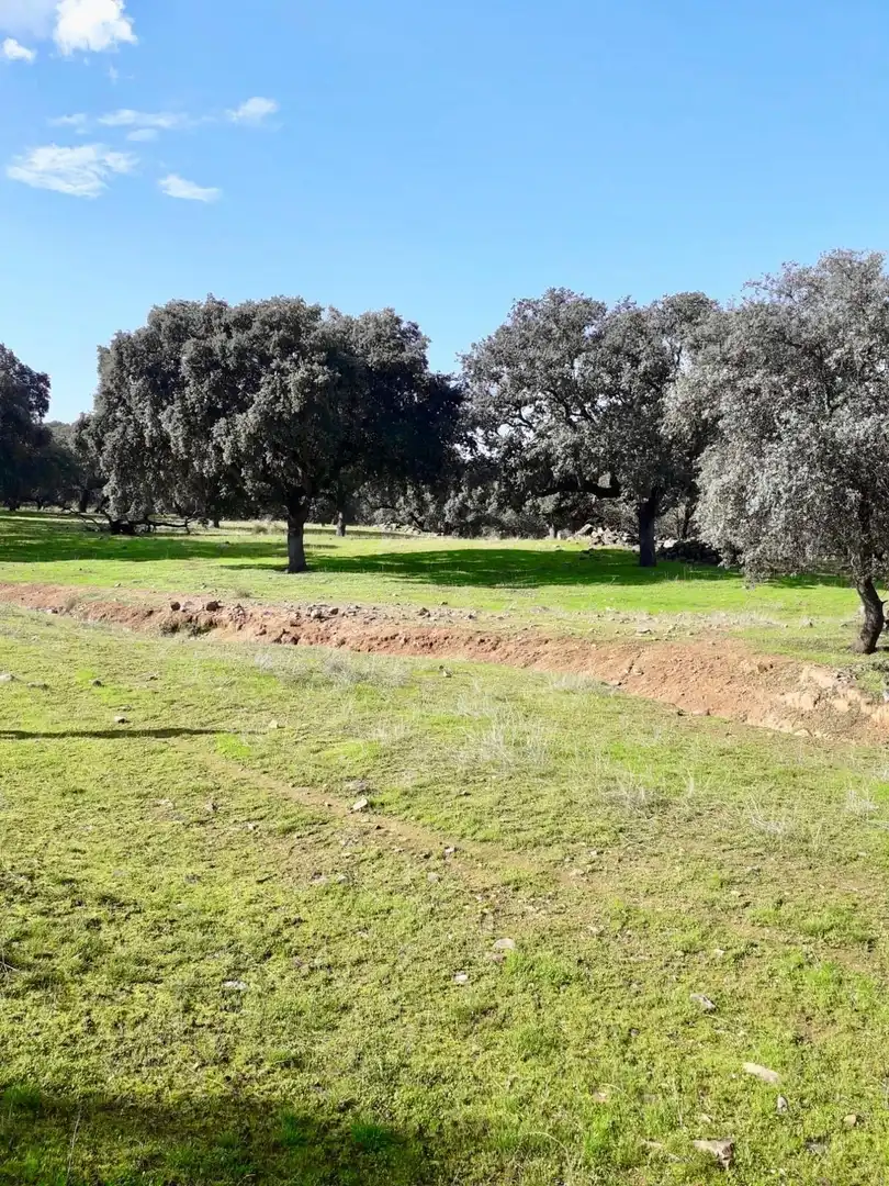 Rural land for sale in Fuente Obejuna, imagen 17