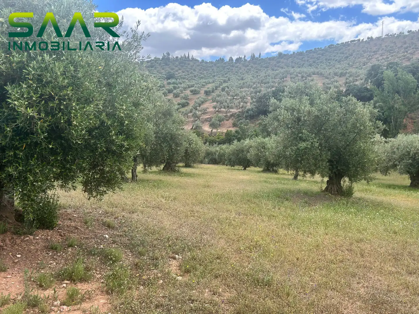 Terreno rustico in vendita a Calicasas