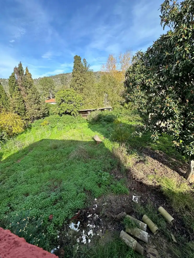 Finca rústica en venta en Alzira con Terraza y Piscina