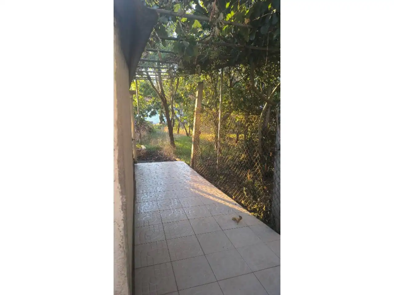 House with garden for sale in San Rosendo, imagen 11
