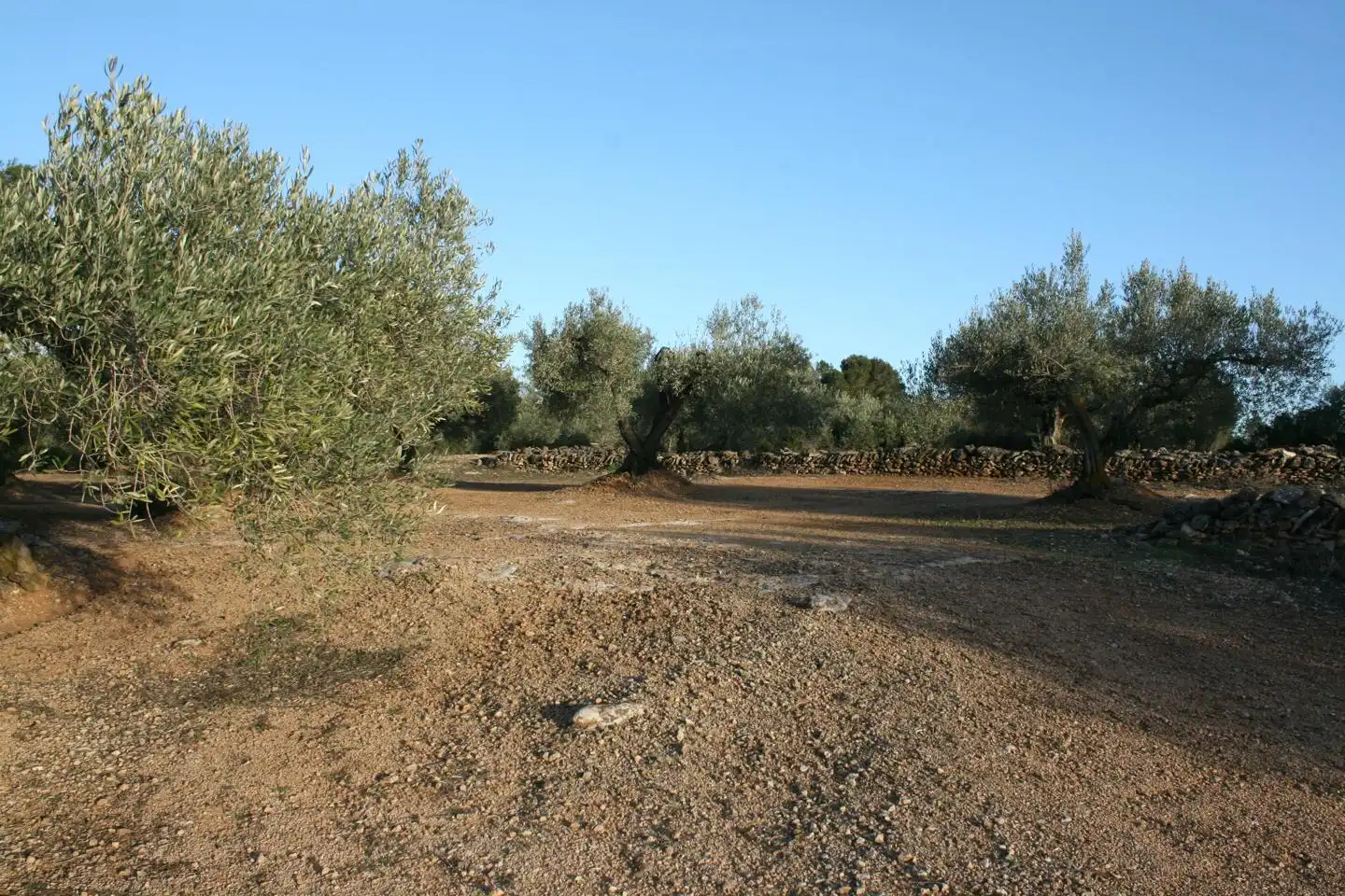 Casa rustica in vendita a burga, imagen 8
