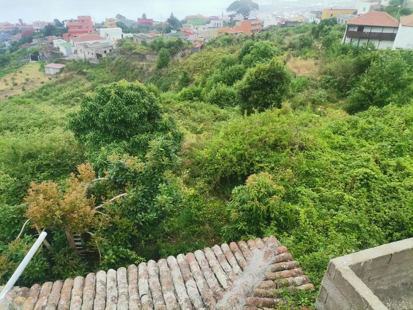 Finca rústica en venda en Icod de los Vinos amb Terrassa i Balcó