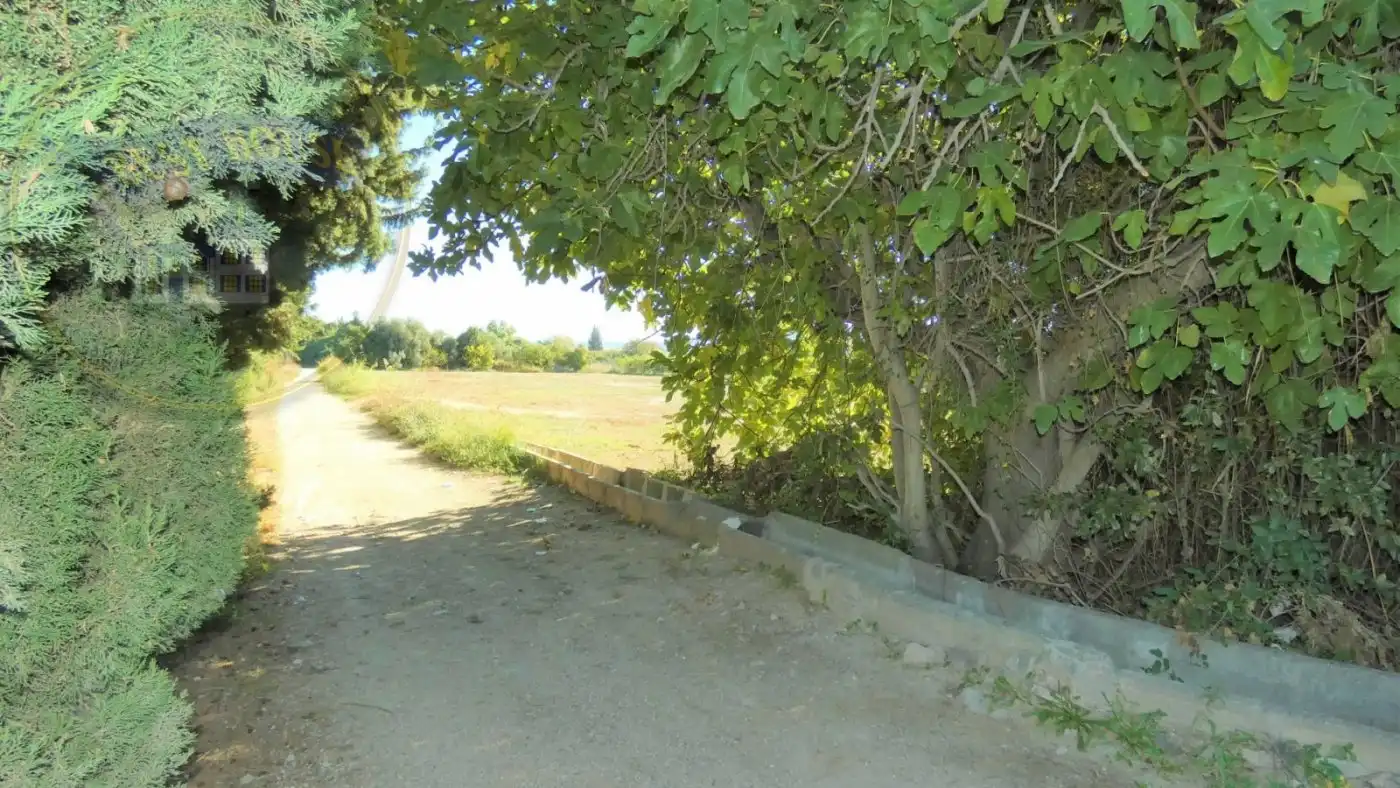 Terreny rústic en venda a Pedanías Oeste, imagen 4