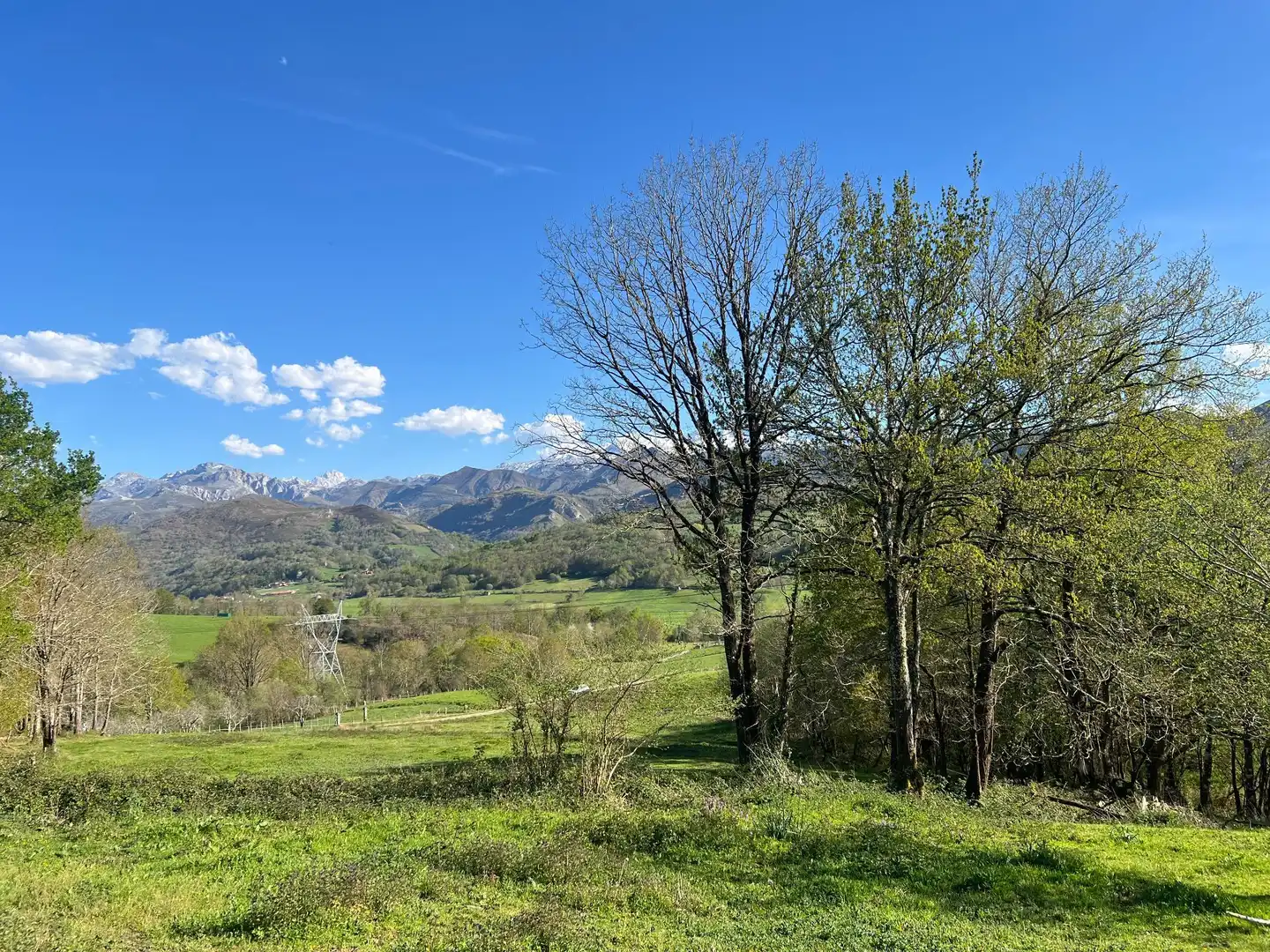 Terreni e lotti in vendita a Cangas de Onís, imagen 6