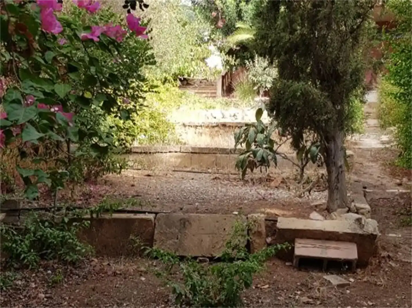 Jardín de Casa o chalet en venta en  Palma de Mallorca