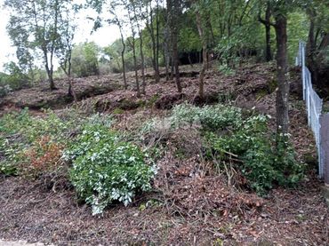 Terreno residenziale in vendita a Riells i Viabrea
