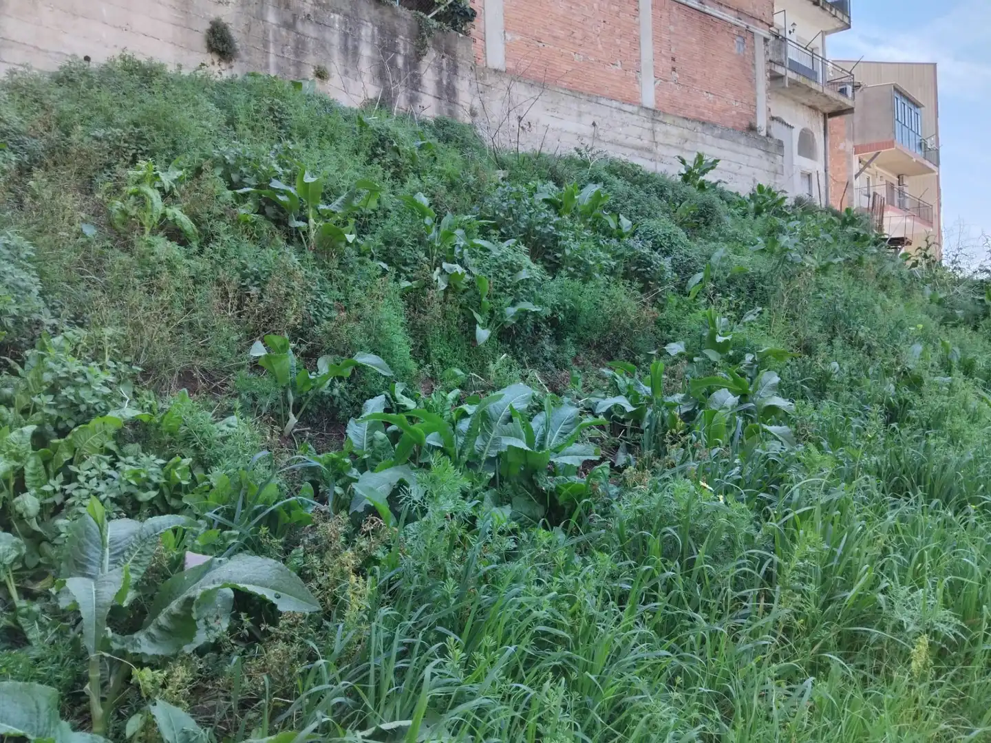 Residencial en venta en Gelida