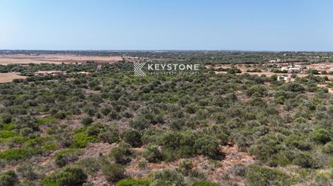 Photo 4 of Land for sale in Santanyi, 1, Santanyí Poble, Illes Balears