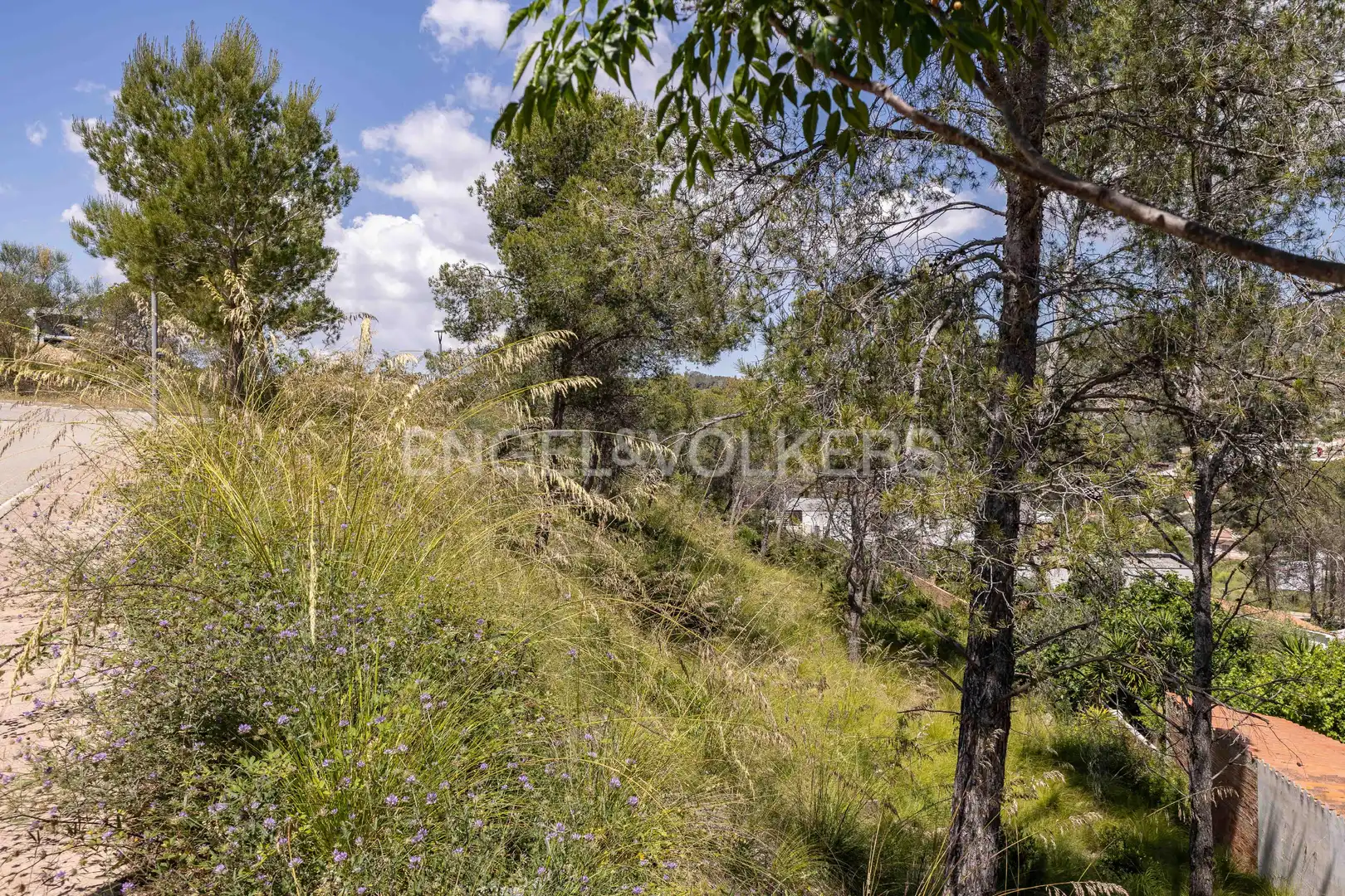 Residential land for sale in Mas Alba, imagen 6