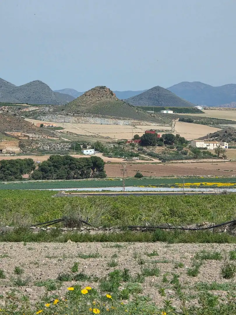 Land for sale in Lorca