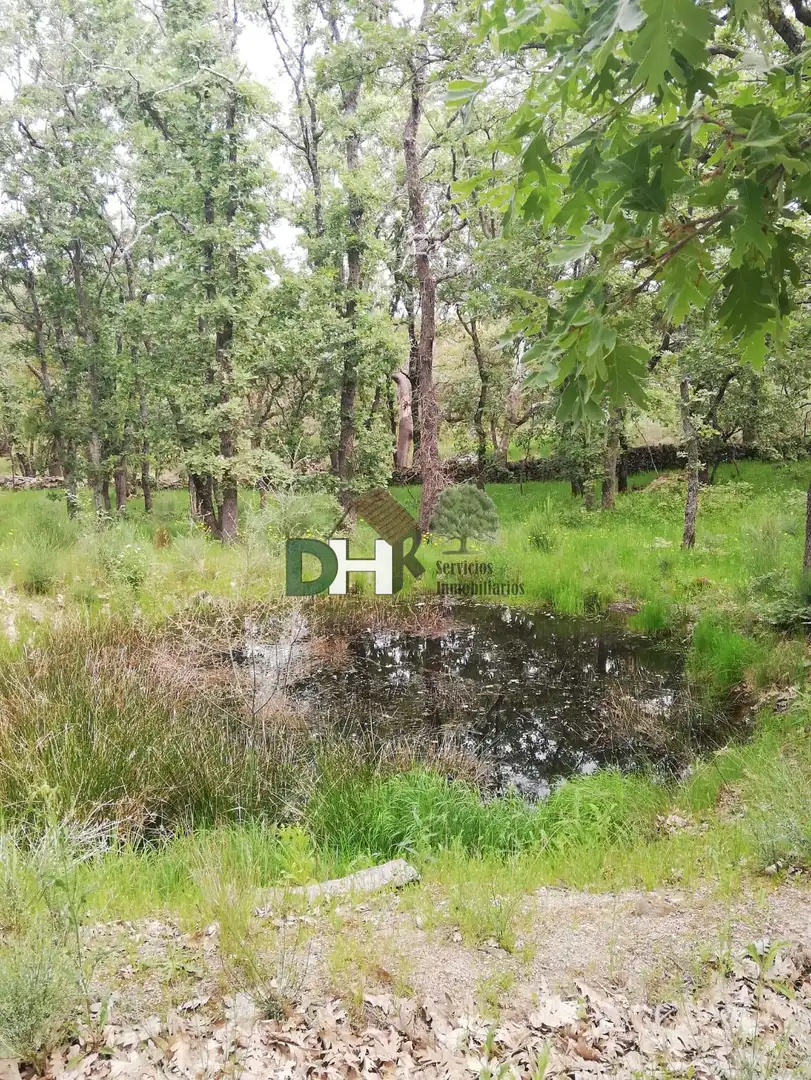 Finca rústica en venda a Perales del Puerto