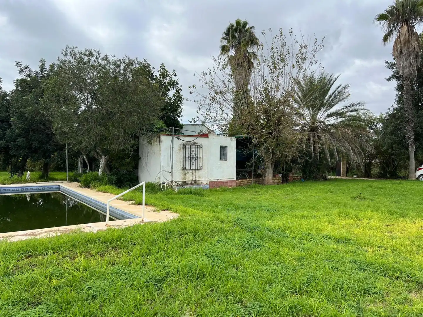 Casa o chalet en venta en Los Palacios y Villafranca con Piscina