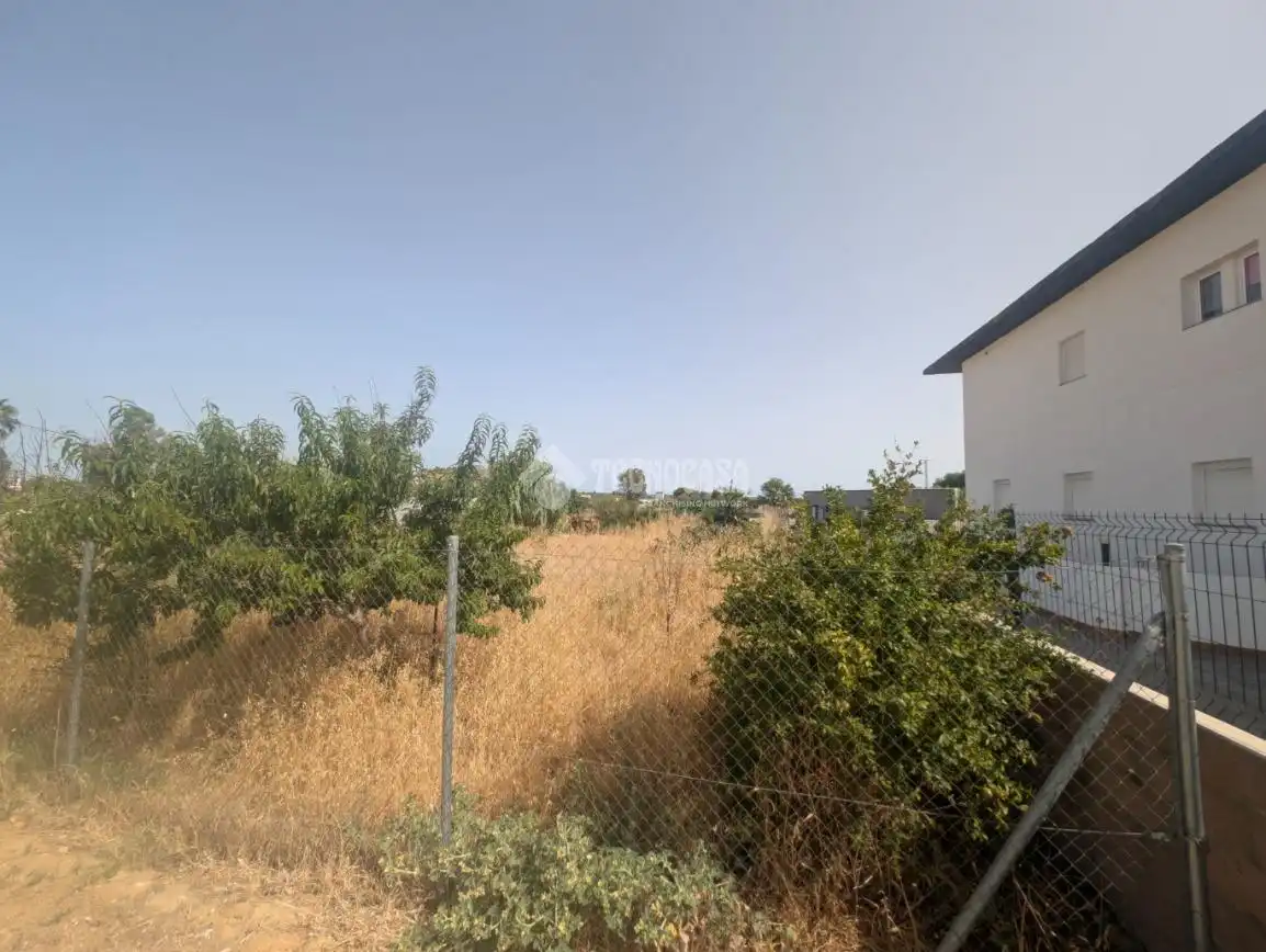 Rural land for sale in El Rocío - La Milagrosa, imagen 7