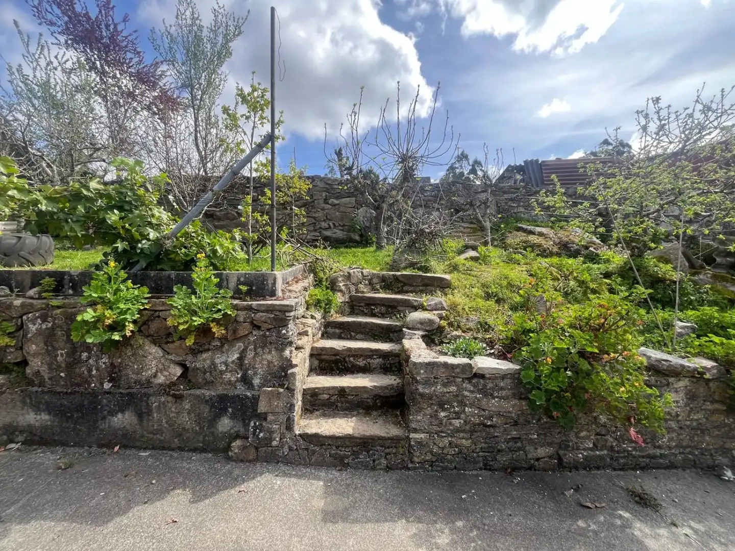 Jardín de Casa o chalet en venta en Zas