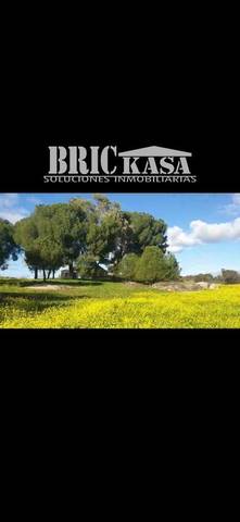 Terreno residencial en Venta en Calle Real en Aldea del Cano