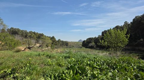 Finca amb aigua, immagine 5