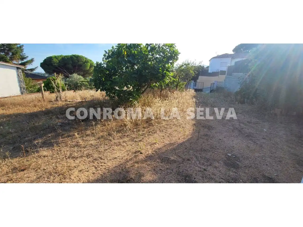 Terreno residencial en venta en Mas Mora - Sant Daniel, imagen 3
