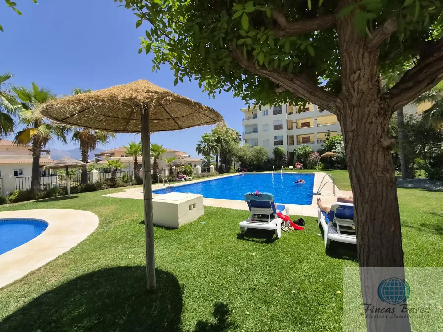 Piscina de Piso en venta en Mijas con Aire acondicionado, Terraza y Trastero