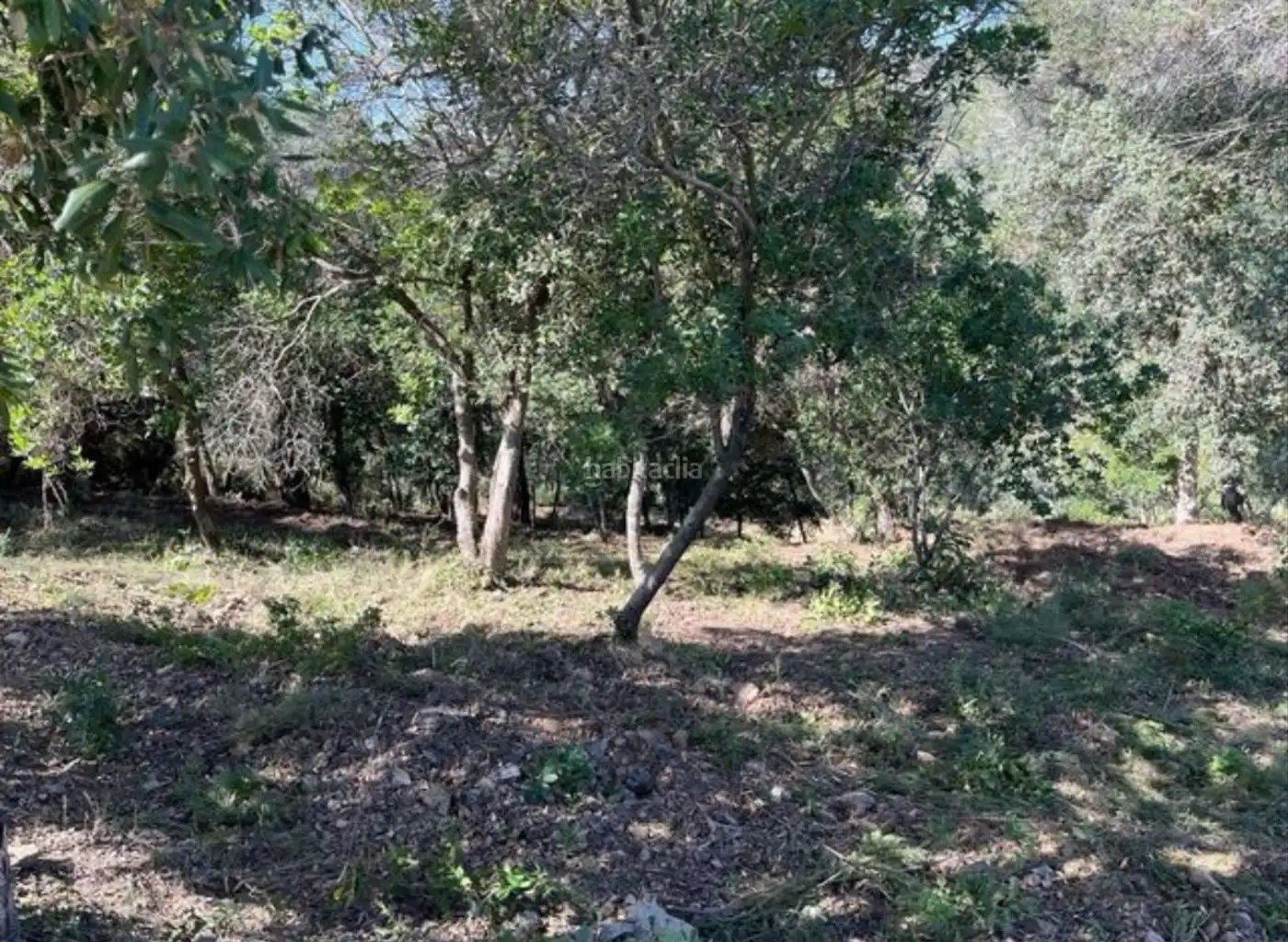 Residential land for sale in Carrer Penya de les Cols 67, imagen 5