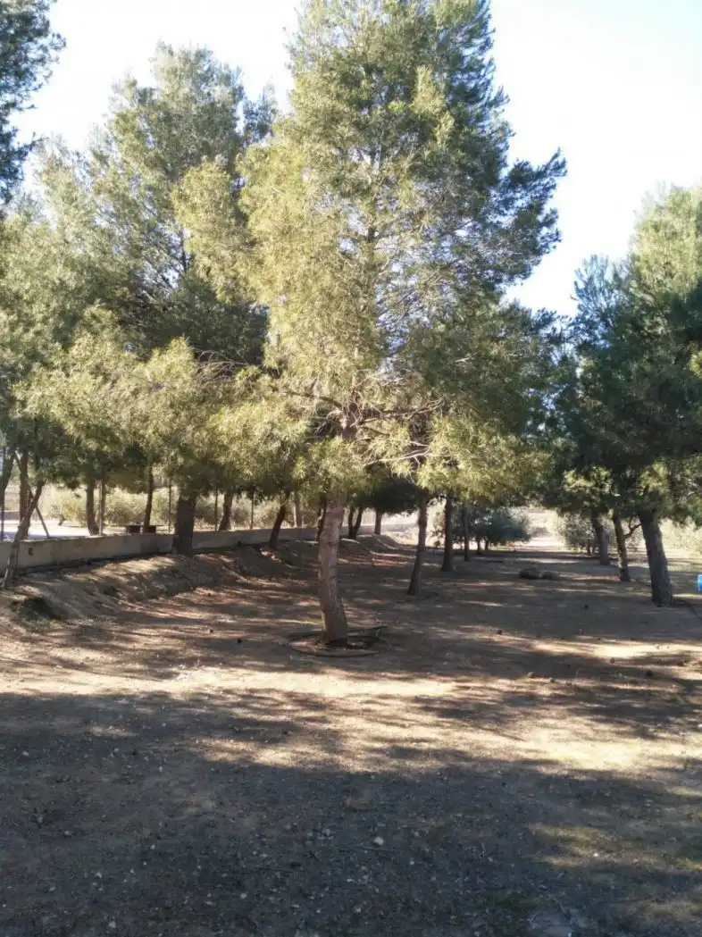 Country homes for sale in Lorca  with Air Conditioner, Heating and Private garden