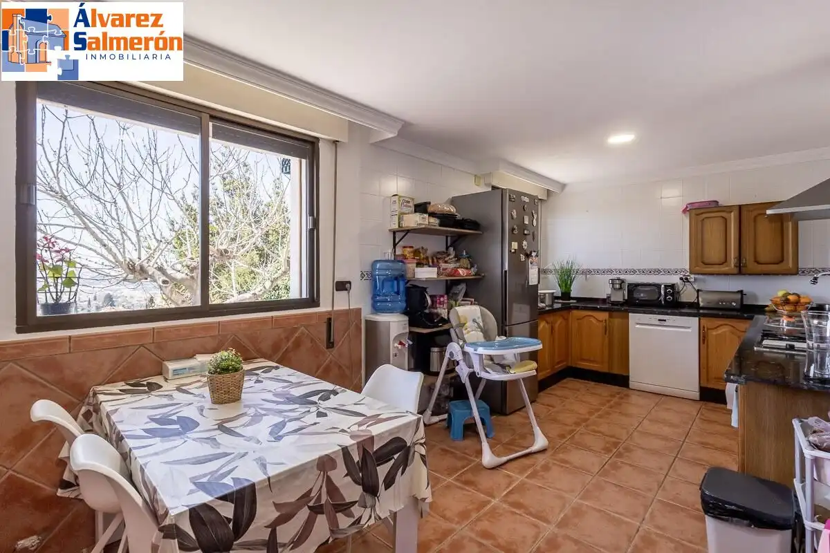 House with garden for sale in Calle MOLINILLO, imagen 3