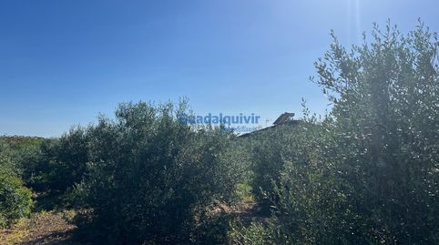 PARCELA EN SAN FEDERICO ECHAGUY, imagen 4